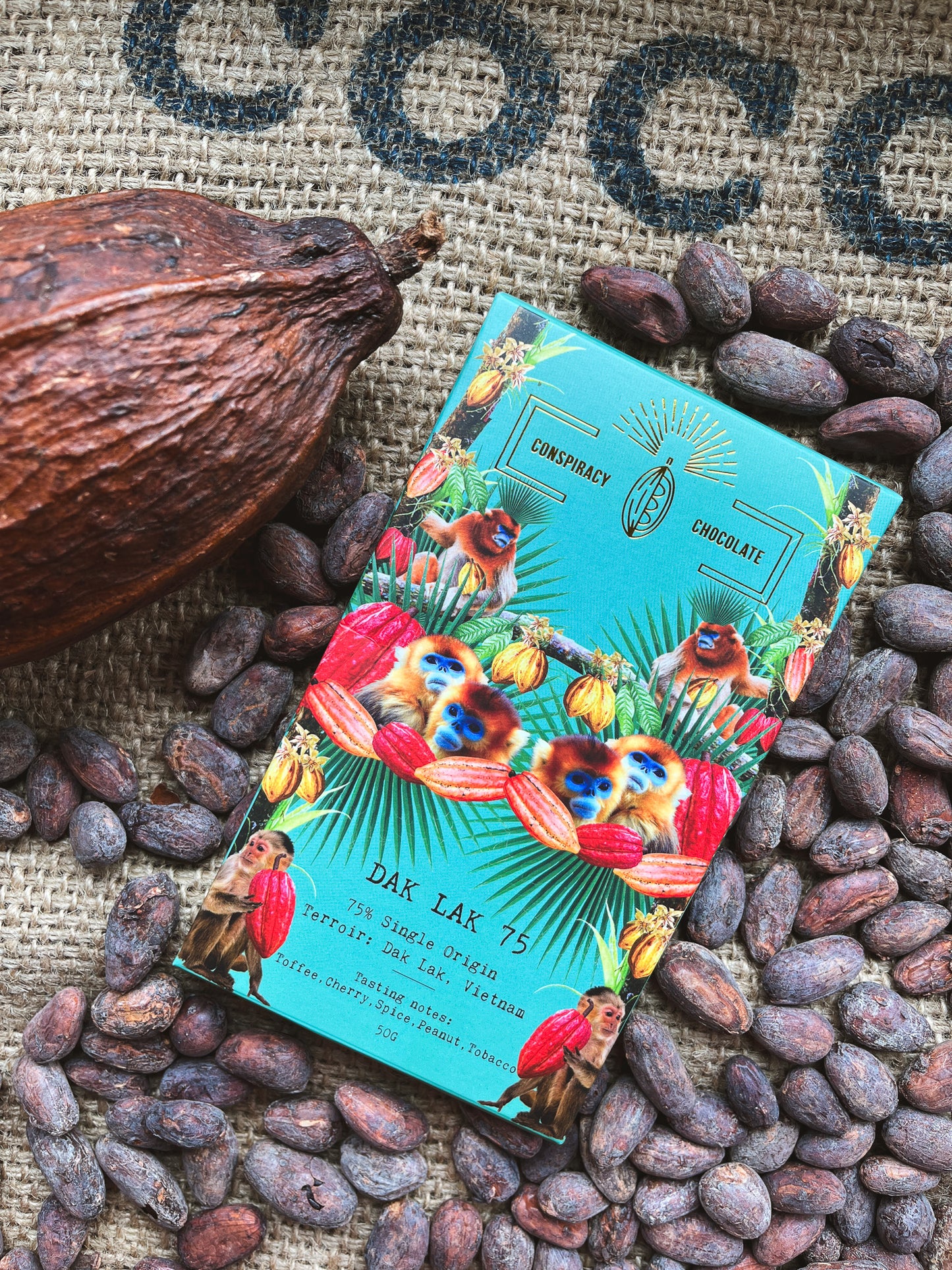 Dak Lak Signature Plain 75%  Conspiracy Chaocolate